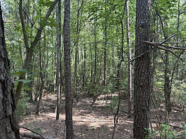 LOT1-E Ridge Rd, Appling, GA 30802