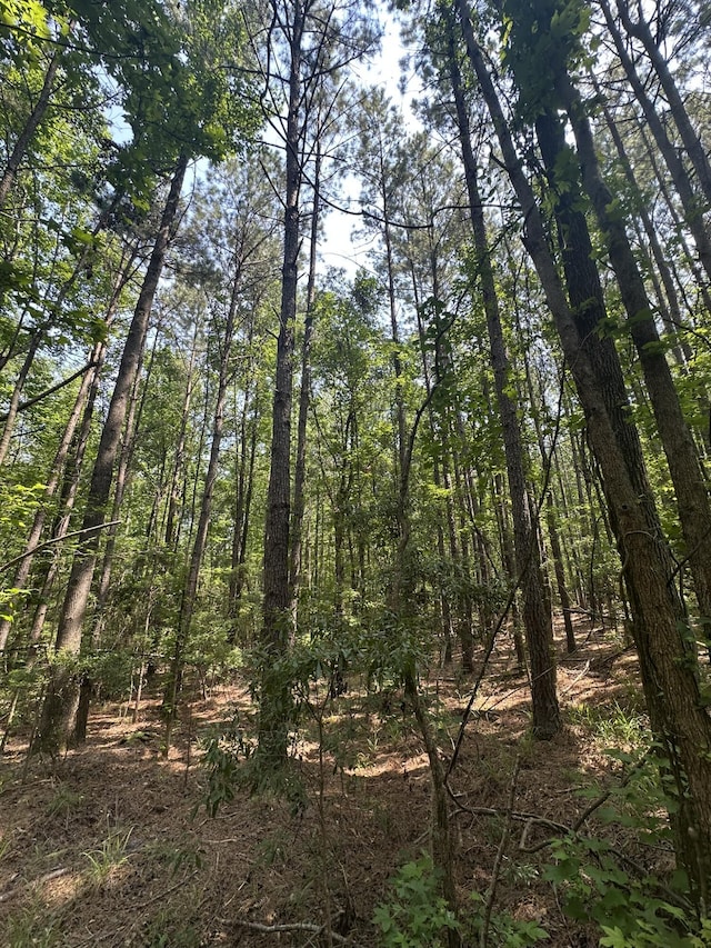LOT1-E Ridge Rd, Appling, GA 30802
