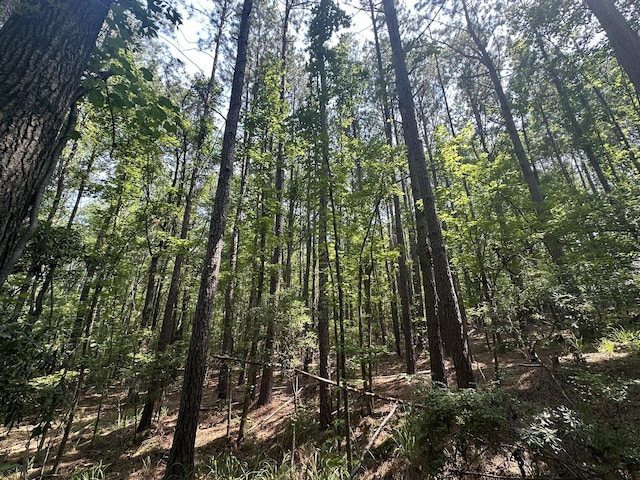 LOT1-E Ridge Rd, Appling, GA 30802