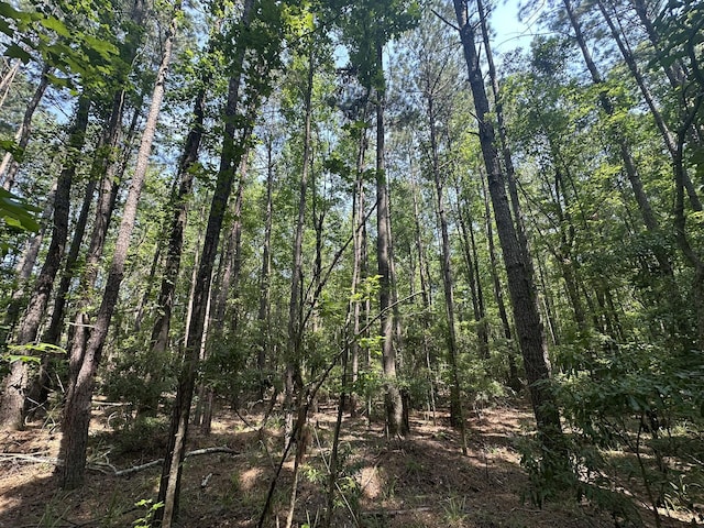LOT1-E Ridge Rd, Appling, GA 30802