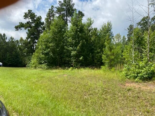 0 Outrigger Dr, Lincolnton, GA 30817 - photo 1