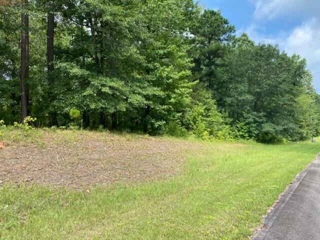 0 Outrigger Dr, Lincolnton, GA 30817 - photo 2