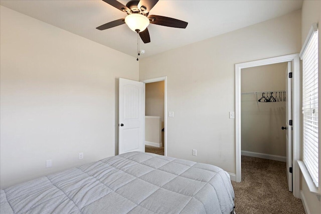 bedroom with carpet floors, a closet, a spacious closet, ceiling fan, and baseboards