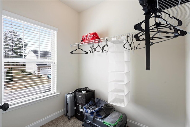 interior space with carpet floors and baseboards