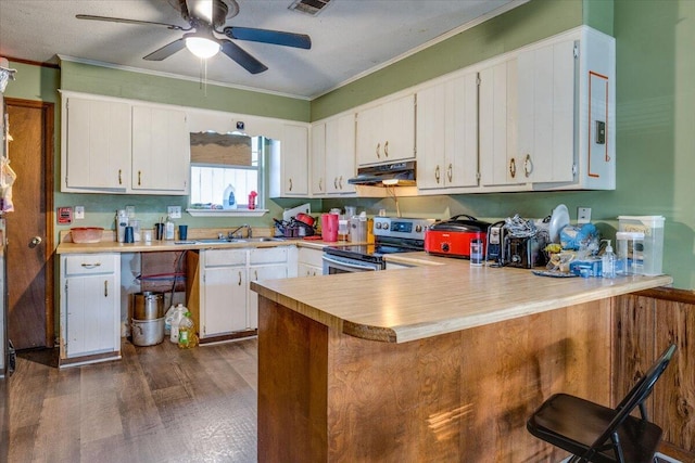 2237 Winston Way, Augusta, GA 30906 - kitchen with stainless steel electric range oven, under cabinet range hood, ornamental molding, ceiling fan, and light countertops