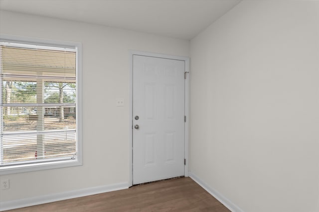 entryway featuring hardwood / wood-style flooring