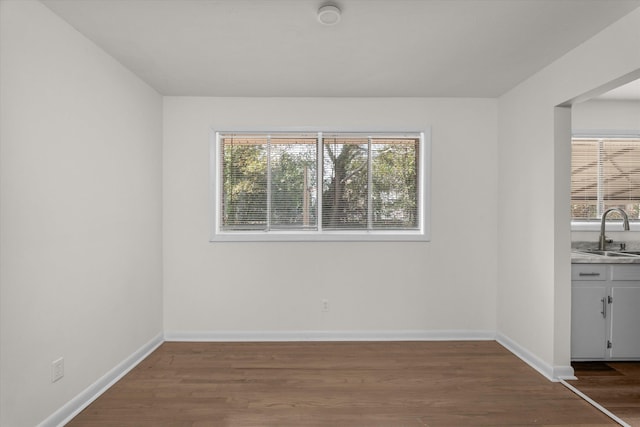 spare room featuring plenty of natural light, sink, and dark wood-type flooring