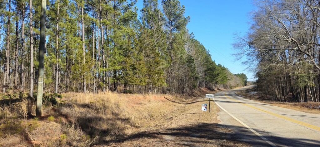000 Bethany Church Rd, Lincolnton, GA 30817 - photo 1