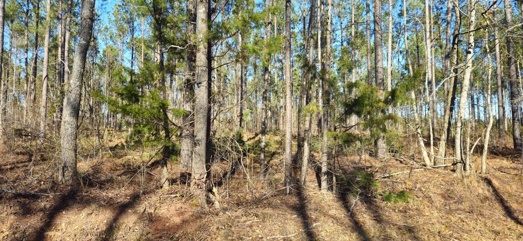 000 Bethany Church Rd, Lincolnton, GA 30817 - photo 2