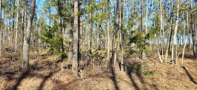 000 Bethany Church Rd, Lincolnton, GA 30817 - photo 2