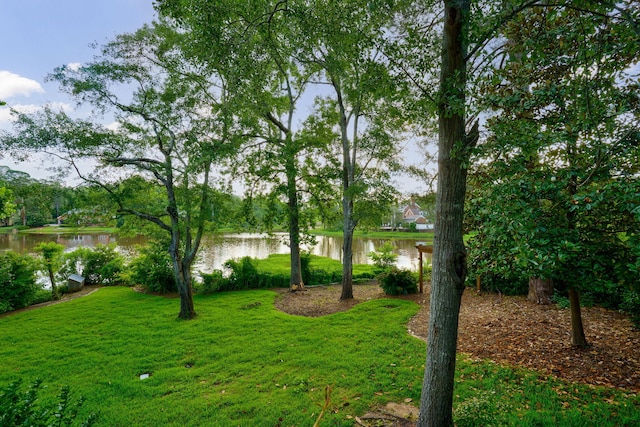 3507 Lost Tree Ln, Martinez, GA 30907 - view of grassy yard featuring a water view