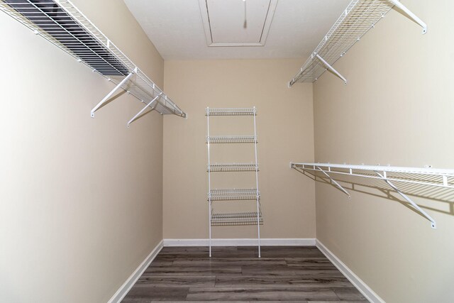 2697 York Dr, Augusta, GA 30909 - walk in closet featuring wood finished floors and attic access