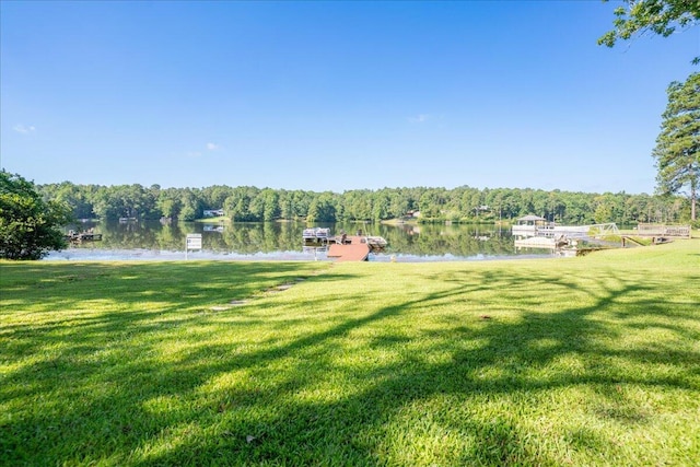 231 Sand Rock Way, Trenton, SC 29847 - photo 64