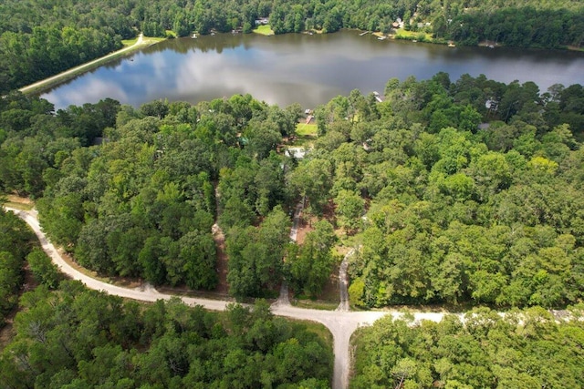 231 Sand Rock Way, Trenton, SC 29847 - photo 7