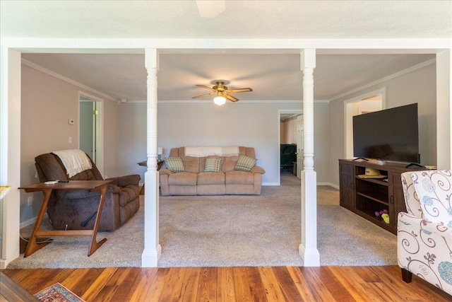 231 Sand Rock Way, Trenton, SC 29847 - photo 38