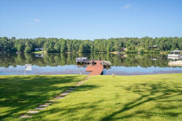231 Sand Rock Way, Trenton, SC 29847 - photo 63