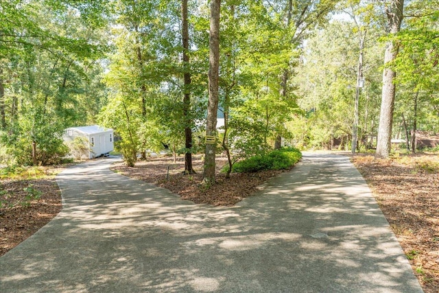 231 Sand Rock Way, Trenton, SC 29847 - photo 23