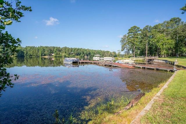 231 Sand Rock Way, Trenton, SC 29847 - photo 57