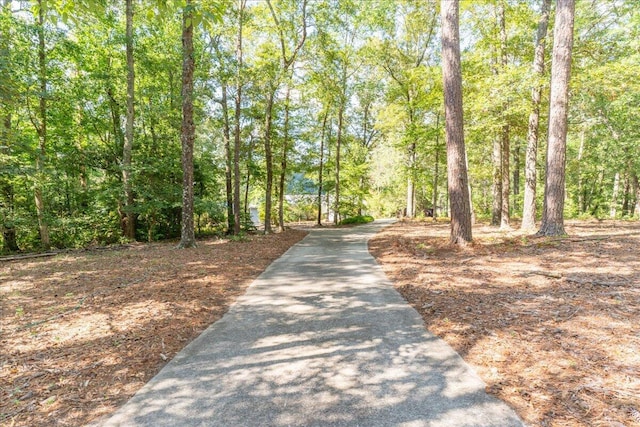 231 Sand Rock Way, Trenton, SC 29847 - photo 24