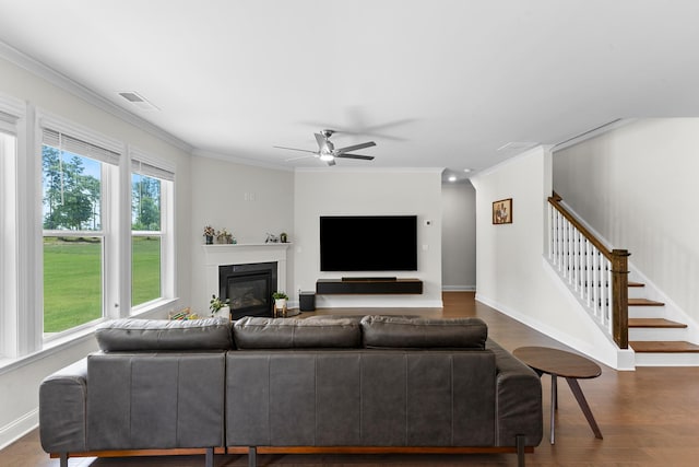 living area featuring crown molding, stairway, baseboards, a ceiling fan, and dark wood-style floors