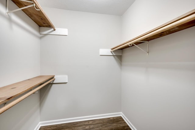 619 Kimberley Pl, Evans, GA 30809 - spacious closet with dark wood-type flooring
