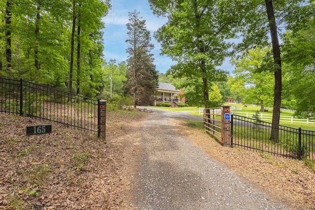165 Indian Valley Ln, Swansea, SC 29160 - view of street with a gated entry