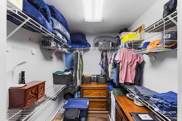 165 Indian Valley Ln, Swansea, SC 29160 - view of spacious closet