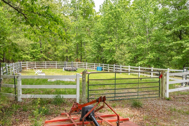 165 Indian Valley Ln, Swansea, SC 29160 - view of yard featuring a gate and a view of trees