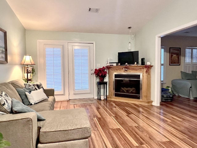 living room with hardwood / wood-style flooring and plenty of natural light