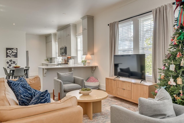 living room with ornamental molding and sink