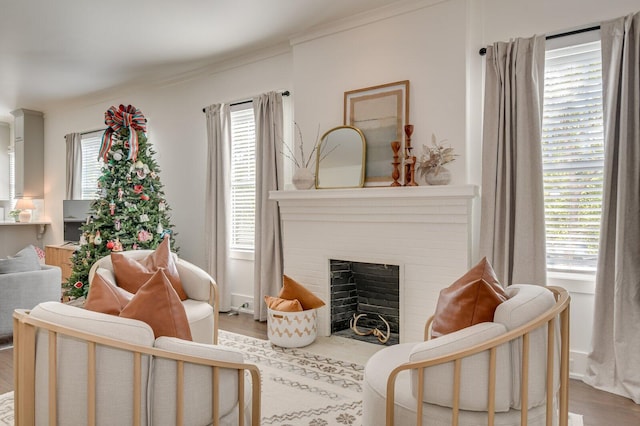 living room with a fireplace, light hardwood / wood-style flooring, and a healthy amount of sunlight