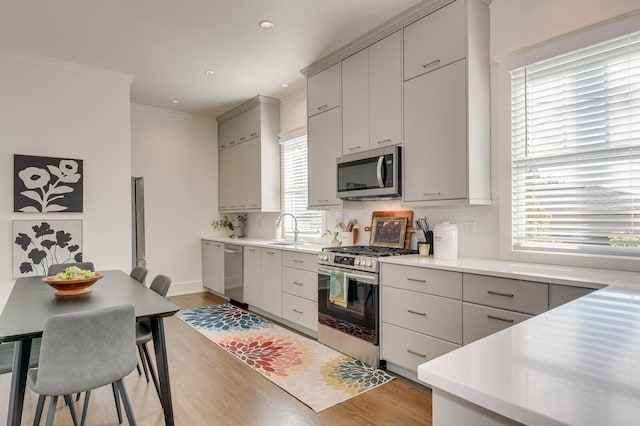 kitchen with appliances with stainless steel finishes, light wood-type flooring, and gray cabinets