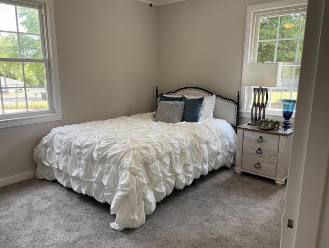 2438 Ridge Rd, Augusta, GA 30906 - bedroom with carpet flooring and multiple windows