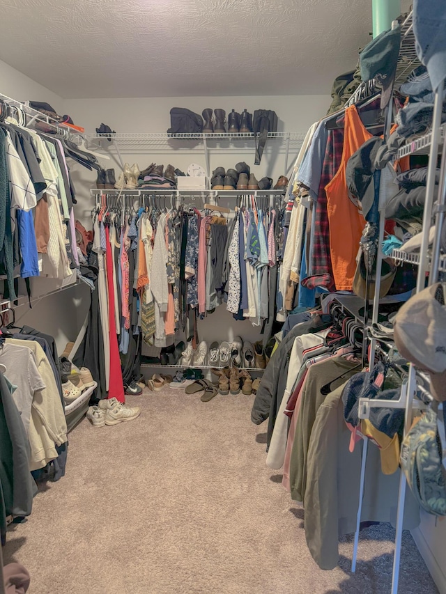 spacious closet with carpet floors