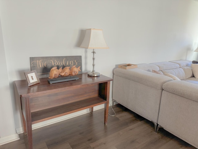 living room with dark wood-type flooring