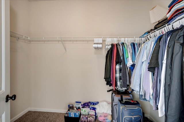 spacious closet with carpet