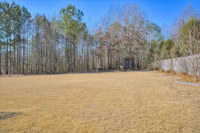 view of yard featuring a storage unit