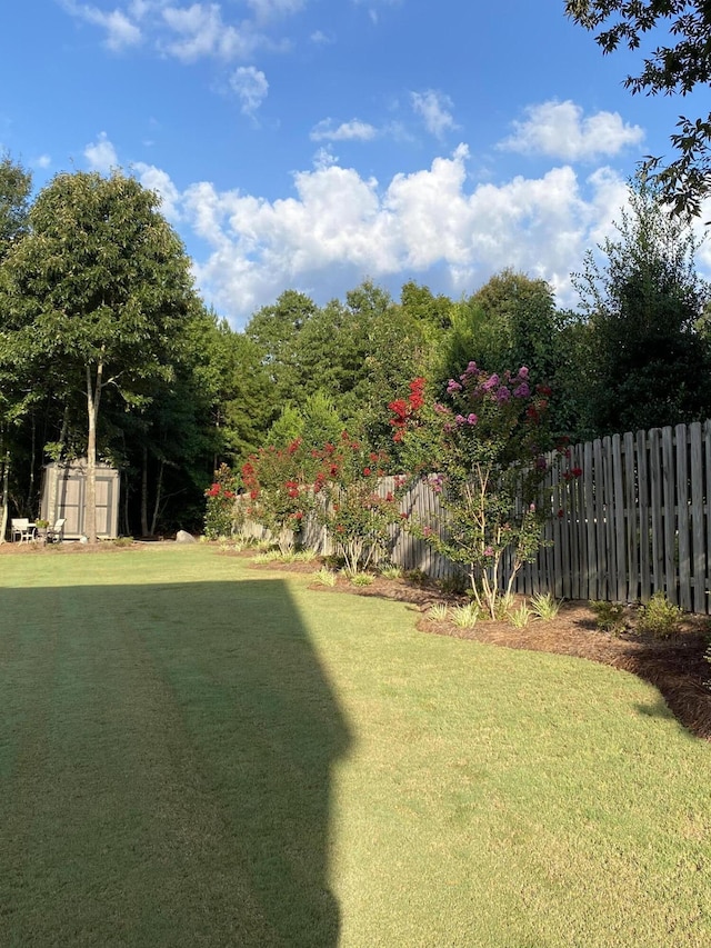 view of yard featuring a storage shed