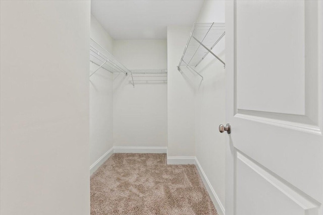1227 Miller St, Augusta, GA 30901 - walk in closet with carpet