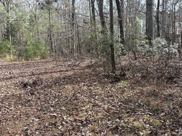 Listing photo 2 for LOT15 Indian Cv, Lincolnton GA 30817