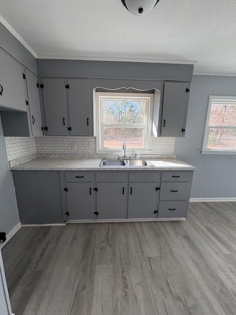 kitchen featuring light wood-type flooring, sink, gray cabinetry, and decorative backsplash