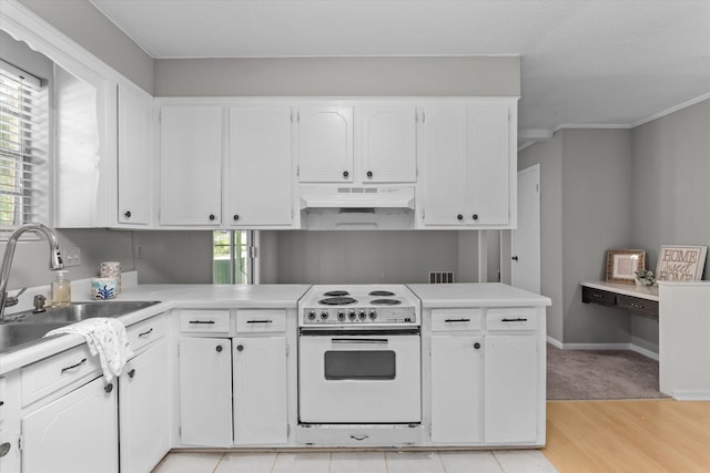 2701 Gardenbrook Ct, Augusta, GA 30906 - kitchen featuring white range with electric stovetop, under cabinet range hood, a sink, white cabinets, and crown molding