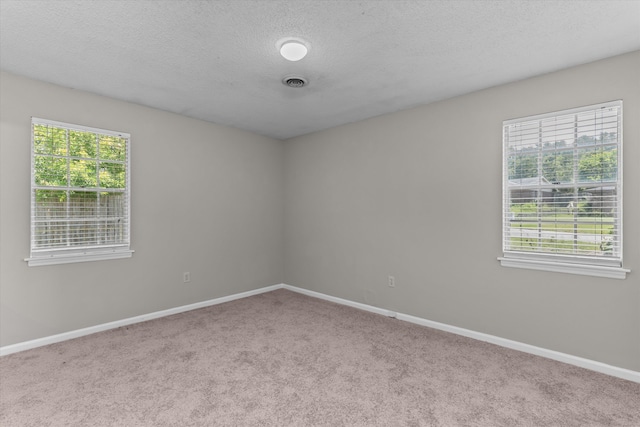 2701 Gardenbrook Ct, Augusta, GA 30906 - carpeted empty room featuring plenty of natural light, baseboards, and a textured ceiling