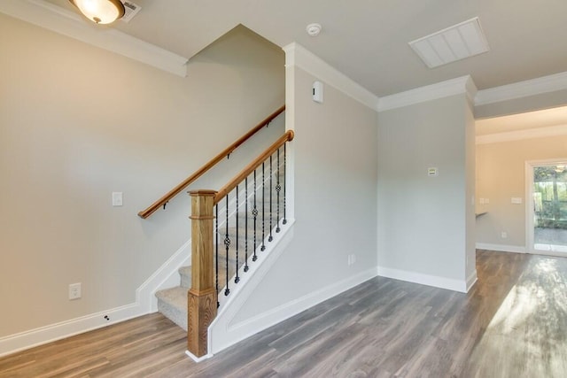 384 Mill Stone Ln, North Augusta, SC 29860 - photo 18