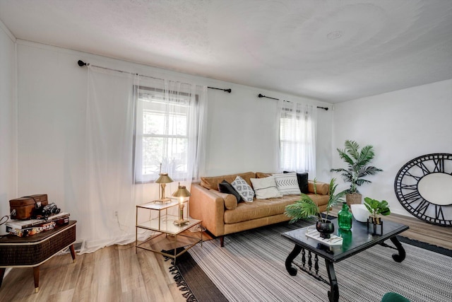 707 Oriole St, Aiken, SC 29803 - living area with plenty of natural light and wood finished floors