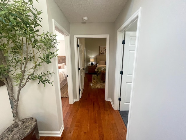 101 Charlotte Dr, Mccormick, SC 29835 - photo 16