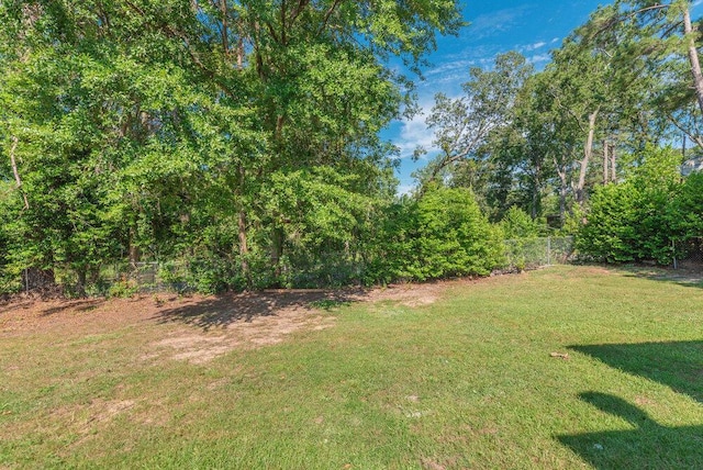 112 W Lynne Dr, Augusta, GA 30907 - view of yard