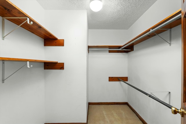 spacious closet with light colored carpet