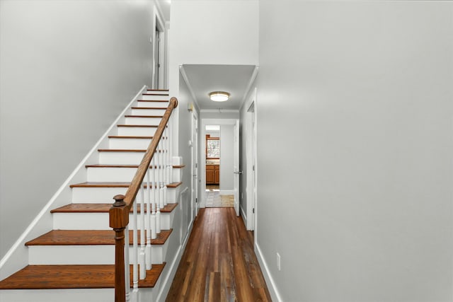 stairway featuring hardwood / wood-style flooring