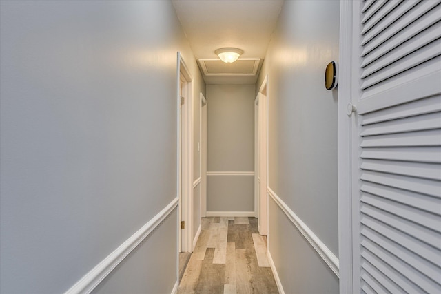 522 Gray Dr, Martinez, GA 30907 - hall with light wood-type flooring and attic access